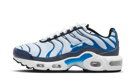 Nike Air Max Thunder Blue Photo Blue (GS)