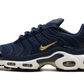 Nike Air Max Plus FFF