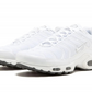 Nike Air Max Plus White