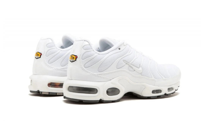 Nike Air Max Plus White